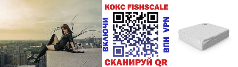 Cocaine Fish Scale  kraken рабочий сайт  даркнет телеграм  Сольвычегодск 