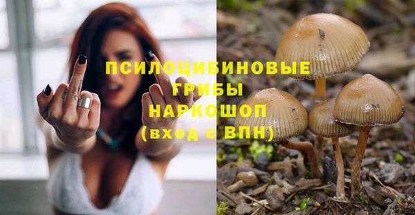 кристаллы Алзамай