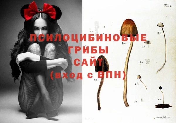 наркотики Алексин